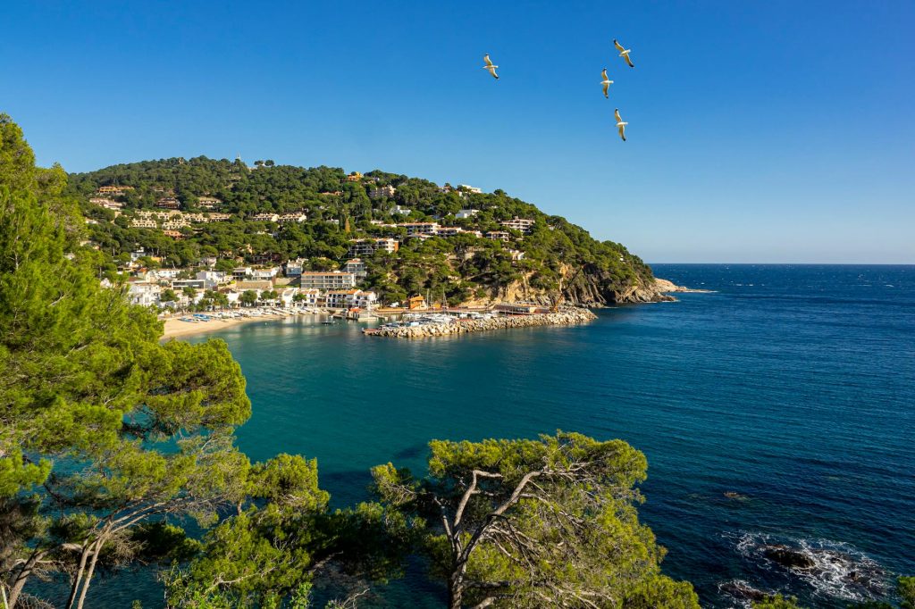 Playa de Llafranc en la Costa Brava